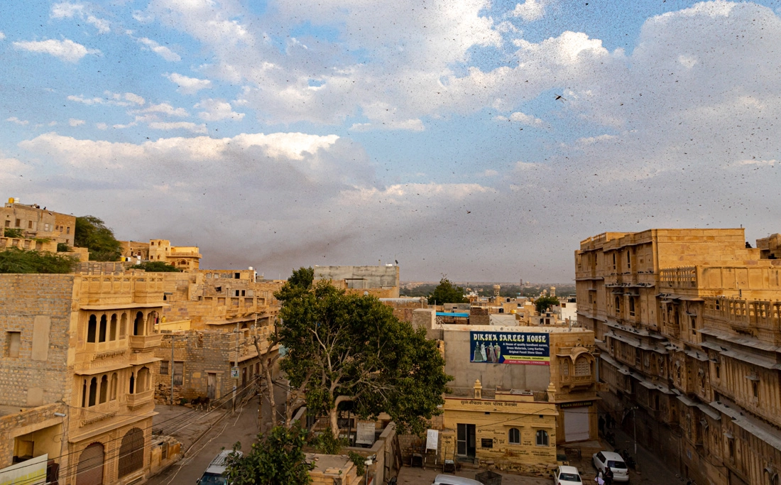 Trump's Veto Of Bill To End US Involvement In Yemen Undermines Peace Efforts